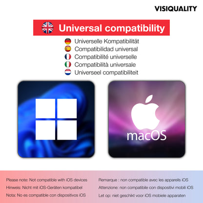 VisiQuality High-Speed Externe Harde Schijf - Bold Red 750 GB